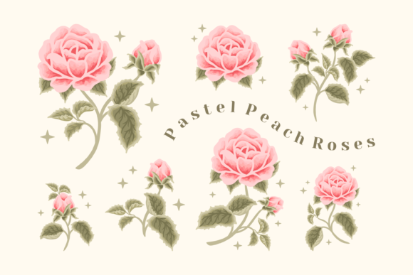 Download Vintage Aesthetic Pastel Peach Rose Set - Vintage aesthetic Collection