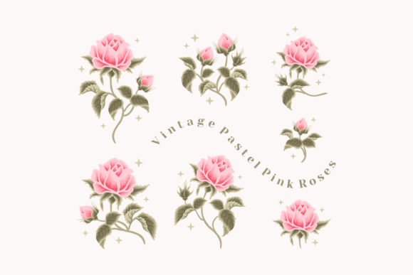 Download Vintage Aesthetic Pink Rose Flower Set - Vintage aesthetic Collection